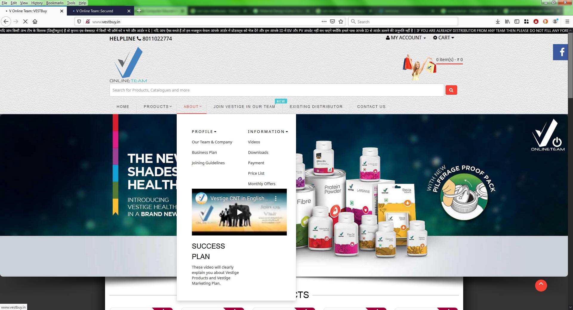 Vestige Online Team