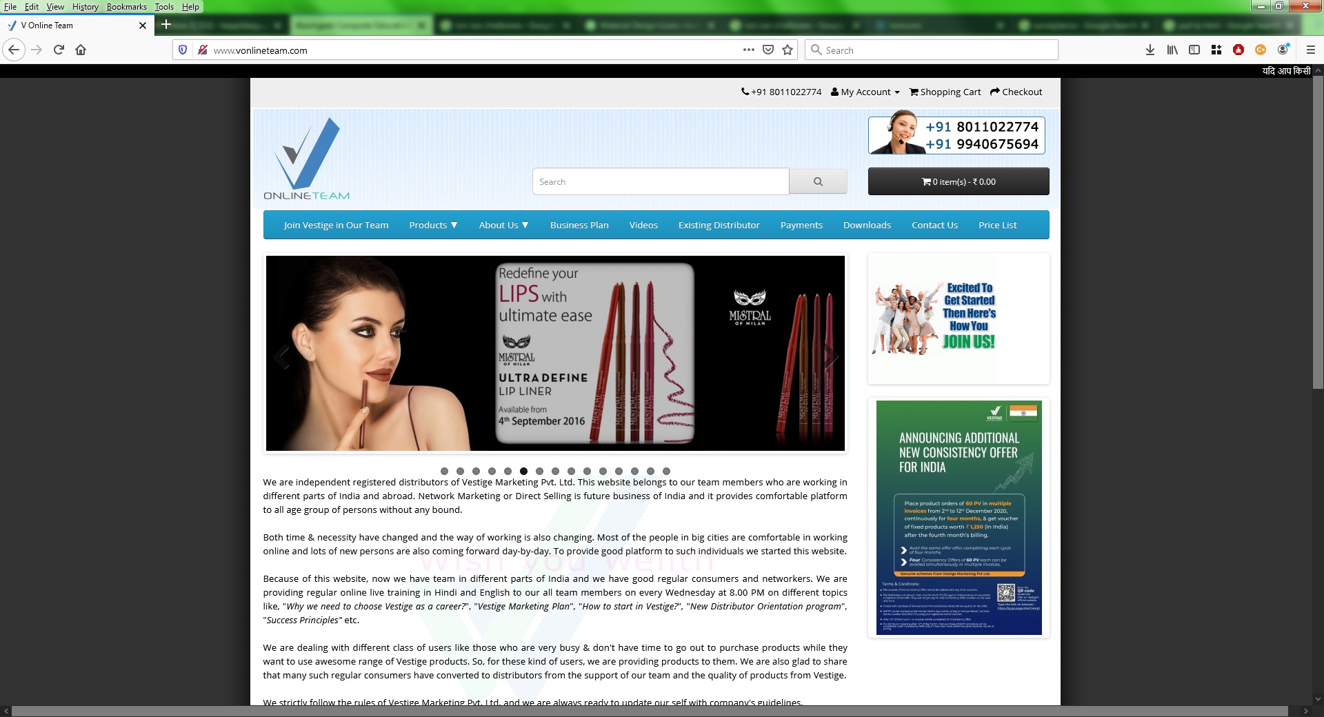 Vestige Online Team