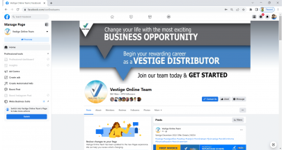 Vestige Online Team