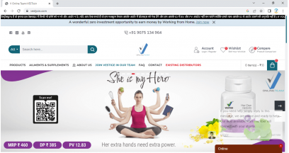 Vestige Online Team - Website 03