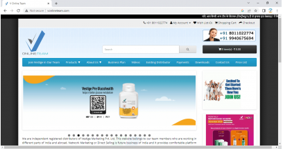 Vestige Online Team - Website 04